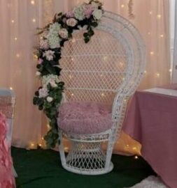 Decorated peacock chair